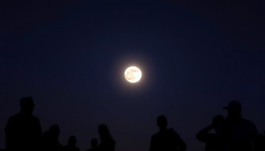 MoonLake CFO Buys Zero‑Cost Shares, Signals Confidence Ahead of FDA Milestone.