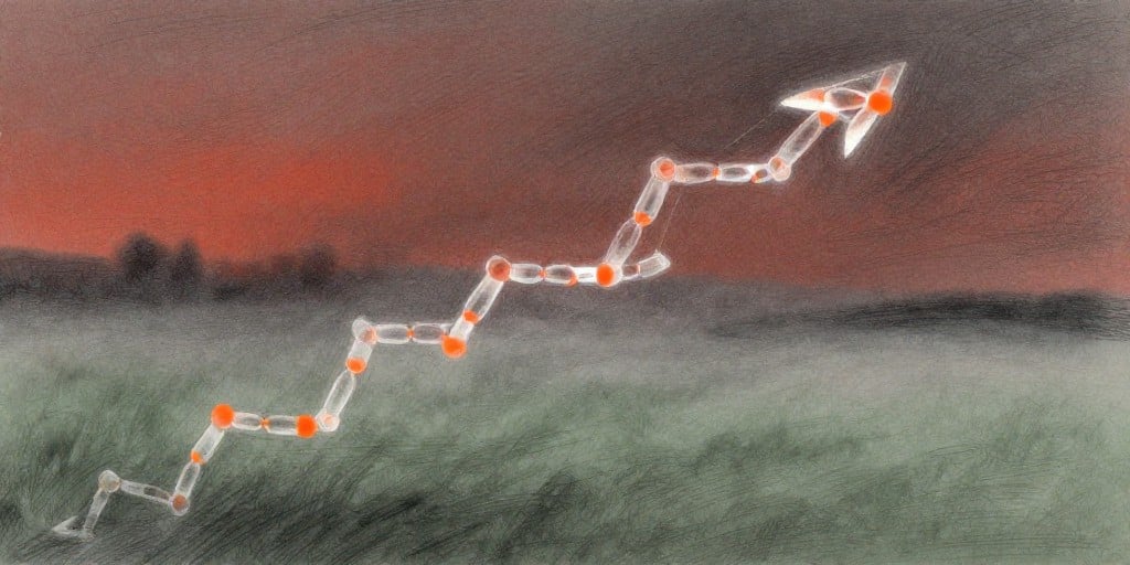Protagonist Therapeutics Insider Surge: CEO & CFO Execute Dual Buy‑Sell Moves While Exercising Options, Hinting at Upcoming Clinical Breakthroughs