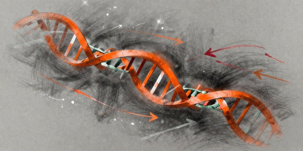 Twist Bioscience CEO Sells 6,127 Shares in Rule 10b5‑1 Plan Amid 21.5% Monthly Gain and 388% Year‑to‑Date Upside【】 Twist Bioscience CEO Sells 6,127 Shares in Rule 10b5‑1 Plan Amid 21.5% Monthly Gain and 388% Year‑to‑Date Upside【】